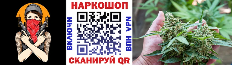 ГАШ Куртамыш