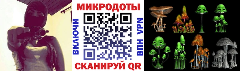 Псилоцибиновые грибы Psilocybe Купить где Куртамыш