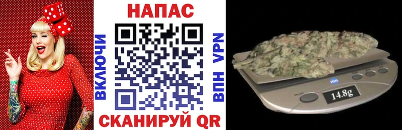 Шишки марихуана конопля  Купить закладки  Куртамыш 